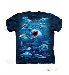 футболка The Mountain Футболка с акулой Wish You Were Here Sharks