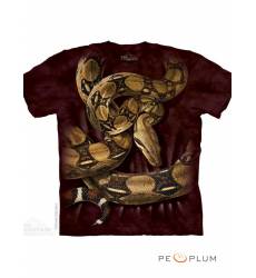футболка The Mountain Футболка с картинкой рептилии/амфибии Boa Constric