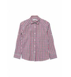 Рубашка Vitacci 1172100-04