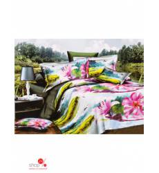 Комплект постельного белья, двуспальный Dominanta, цвет мультиколор 28230369