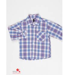Рубашка Gatti для мальчика, цвет голубой, синий, белый 29490762
