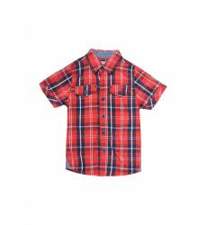 Рубашка E-Bound 131107.G.SH.VX