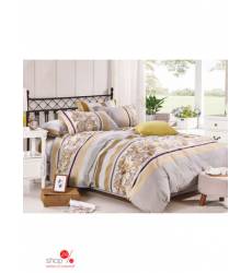 Комплект постельного белья, Семейный Cleo, цвет бежевый, серый 32143870