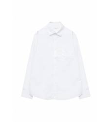 Рубашка Vitacci 1173068М-01
