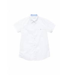Рубашка Vitacci 1173027М-01
