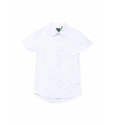 Рубашка Sela Hs-812/207-7310