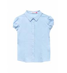 Блуза SE001EGURV41