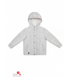 Куртка Tutti Quanti для мальчика, цвет светло-серый 37529136