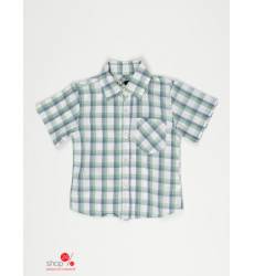 Рубашка Gatti для мальчика, цвет белый, синий, зеленый 38067386