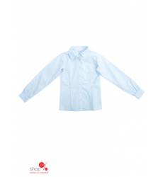Блуза S’COOL! для девочки, цвет голубой 39497728