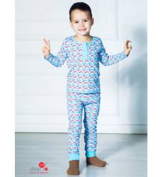 Пижама Archy для мальчика, цвет голубой 42212888
