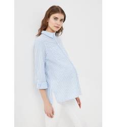 Рубашка Dorothy Perkins Maternity 17356010