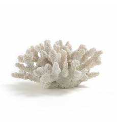 Коралл декоративный белого цвета Millepora 42887484