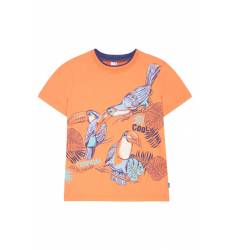 Оранжевая футболка с попугаями Оранжевая футболка с попугаями
