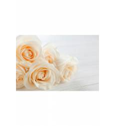 Холст Белые розы Ecoramka Холст Белые розы